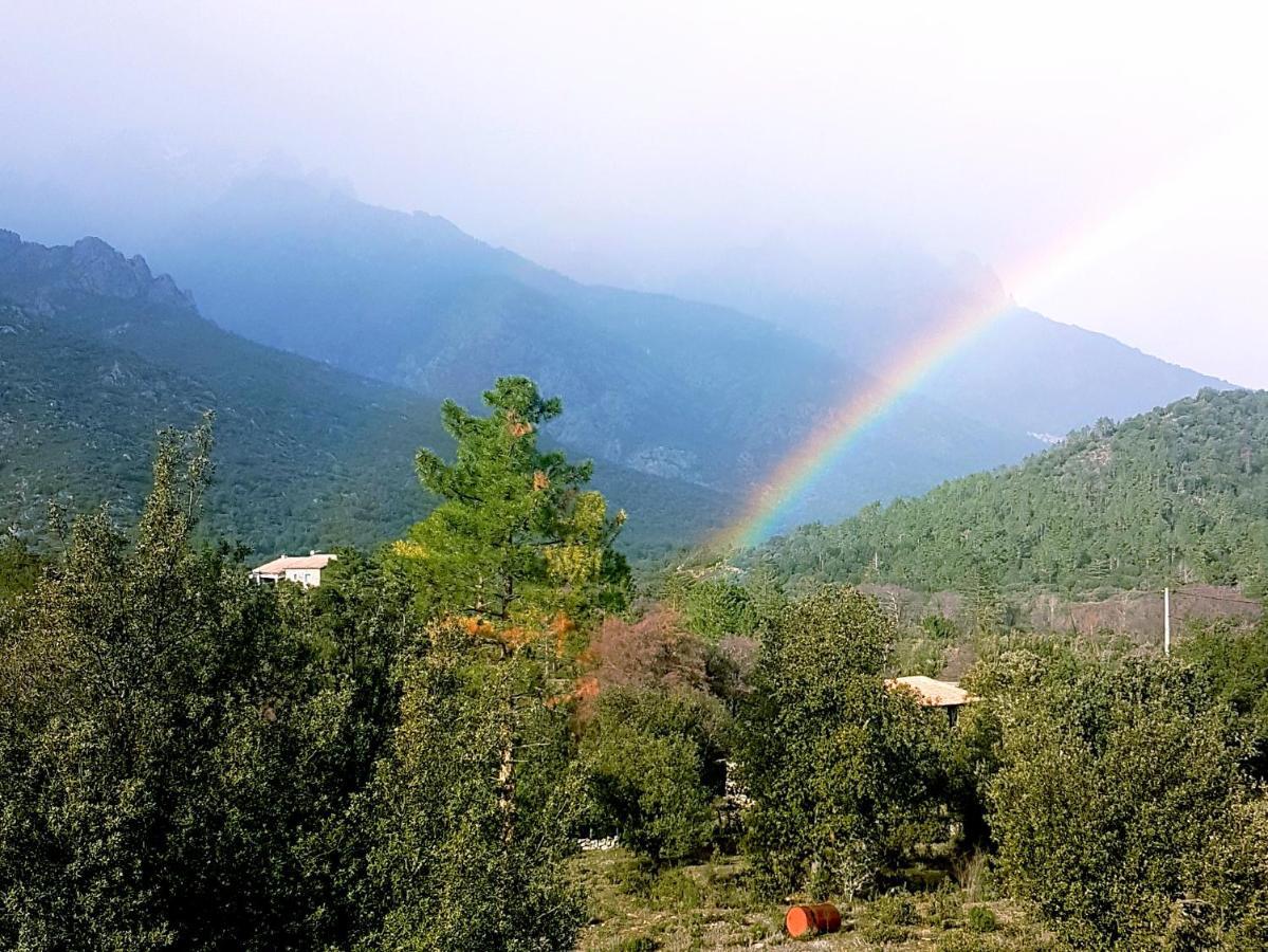 Chambre D'Hotes Mantei Castirla Dış mekan fotoğraf